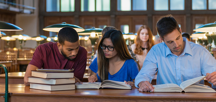 Zihinsel Yetersizlik Destek Programı